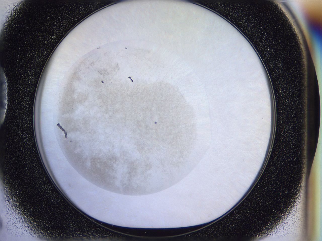 056p_D5_ImagerDefaults_2.jpg