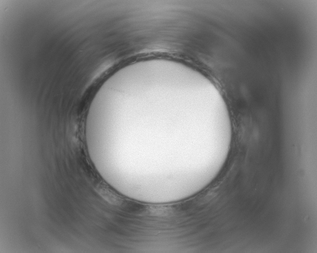 X0000054331258200508111910.png