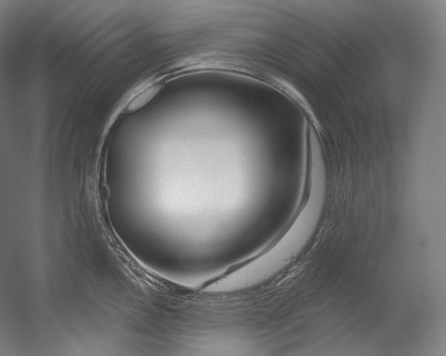 X0000055211146200508301315.png