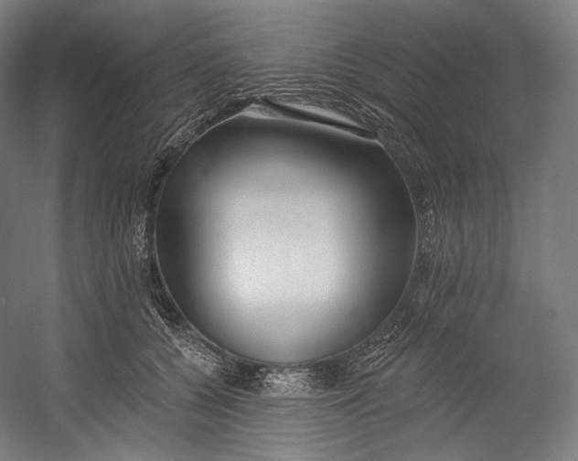 X0000055210560200508301325.png
