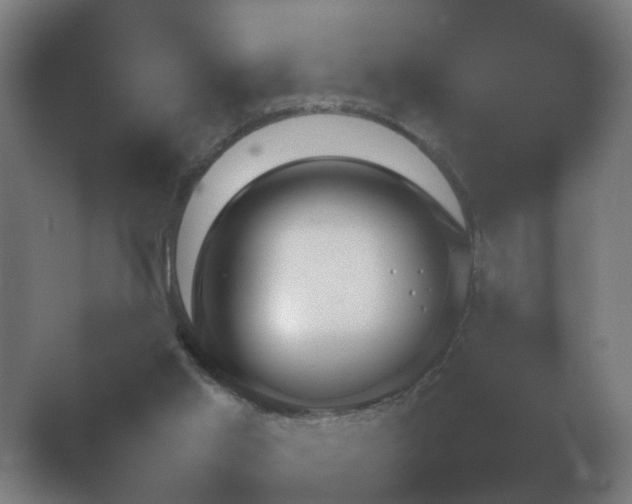 X0000054970013200509051516.png