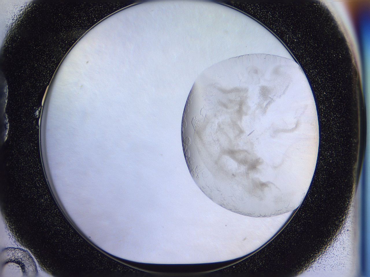 056p_B10_ImagerDefaults_7.jpg