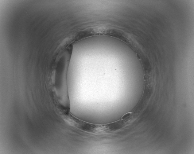 X0000054330505200508111922.png