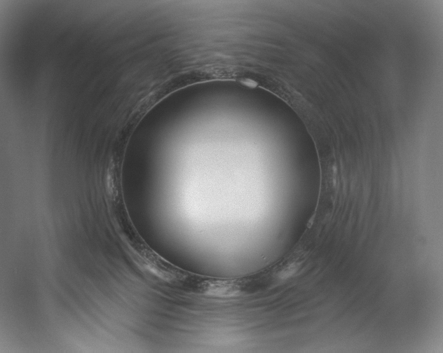 X0000055210088200508301333.png