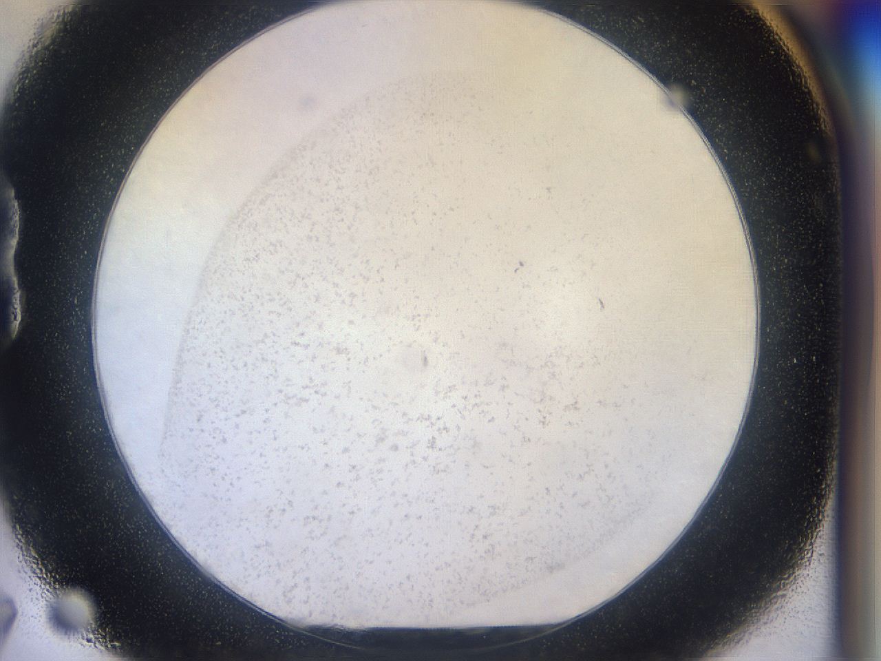 056p_B7_ImagerDefaults_2.jpg