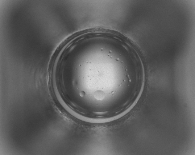 X0000054970888200509051501.png