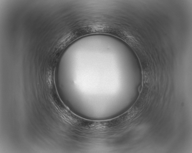 X0000055060648200508161647.png