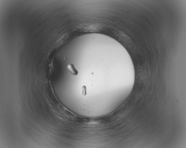 X0000055210312200508301329.png