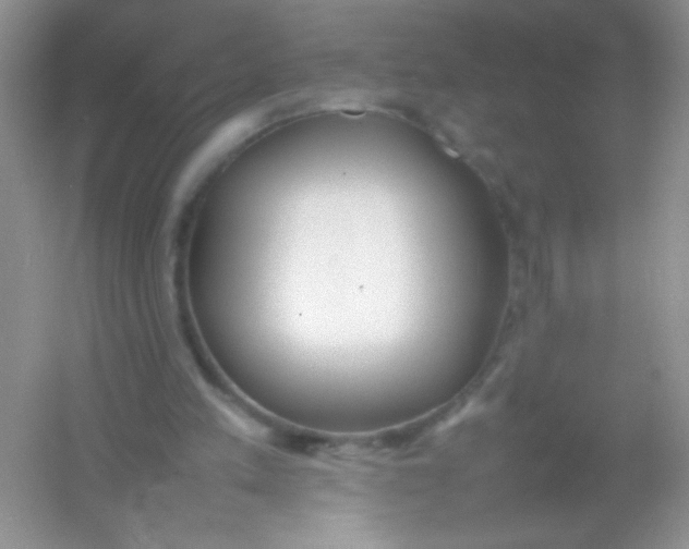 X0000054330197200508111928.png