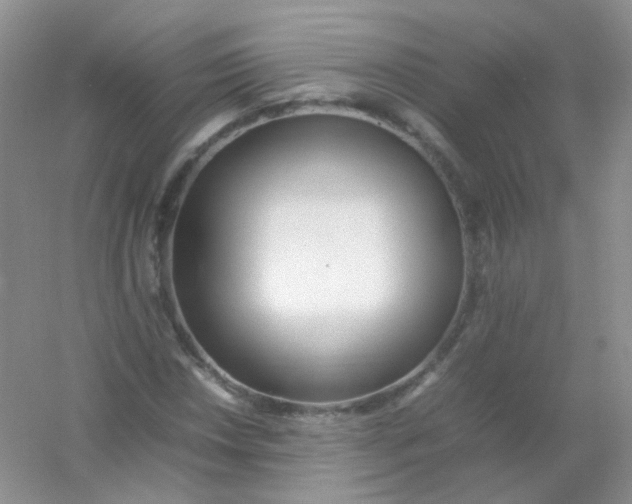 X0000054331018200508111913.png