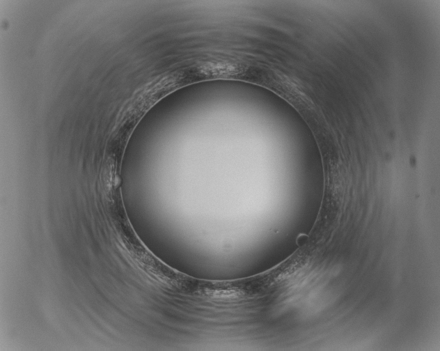 X0000054650645200508091643.png