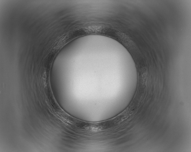 X0000055210498200508301325.png