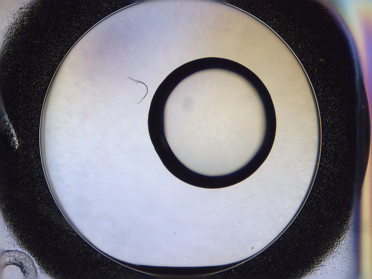 056p_A10_ImagerDefaults_0.jpg