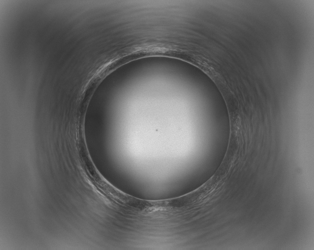 X0000055210352200508301328.png