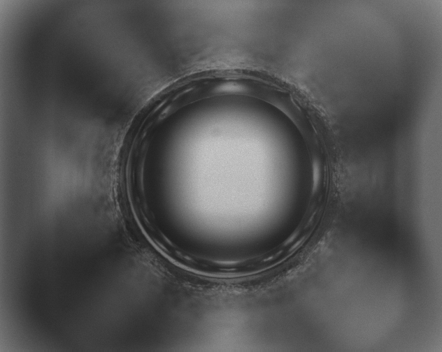 X0000047501073200503161507.png