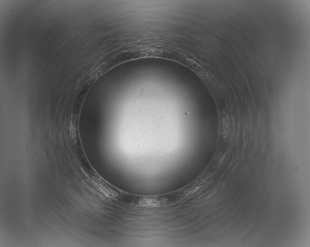 X0000055210613200508301323.png