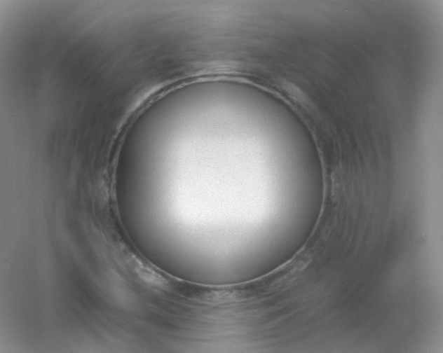 X0000054331212200508111910.png