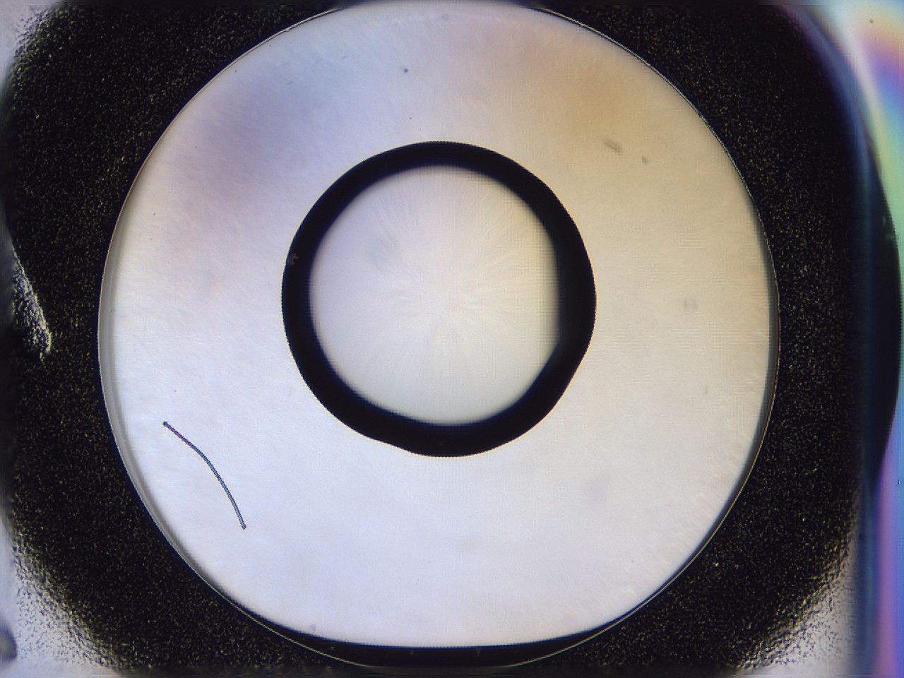 056p_A6_ImagerDefaults_0.jpg