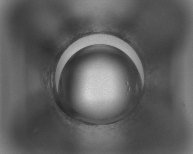 X0000054970019200509051516.png