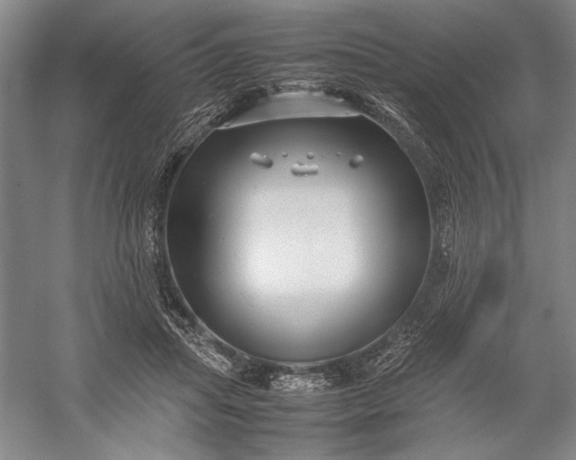 X0000055060455200508161650.png