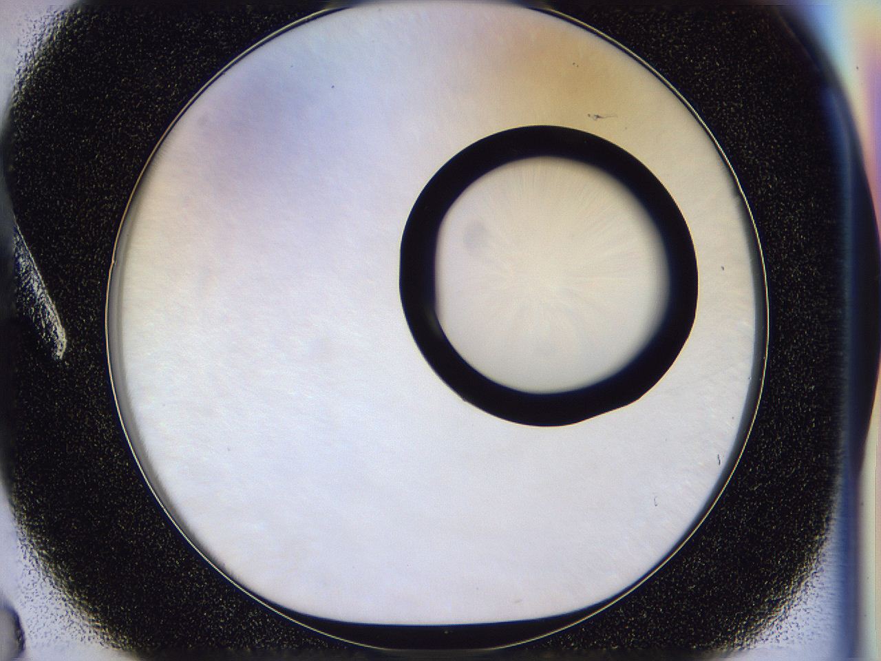 056p_A3_ImagerDefaults_0.jpg