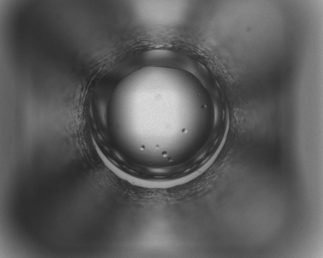X0000045451442200502011644.png
