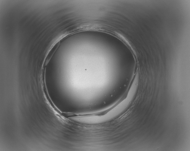 X0000055211434200508301310.png