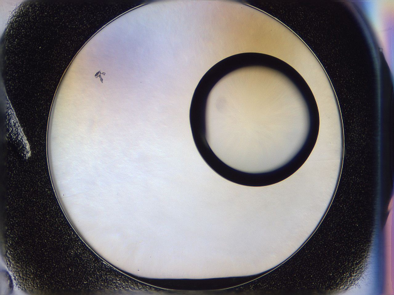 056p_A2_ImagerDefaults_0.jpg