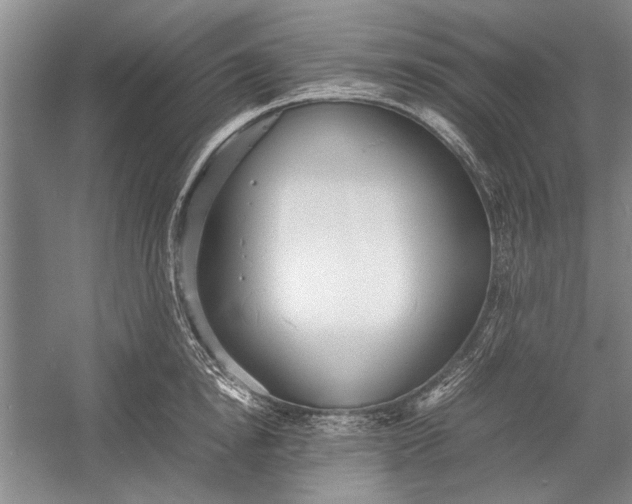 X0000055060854200508161644.png