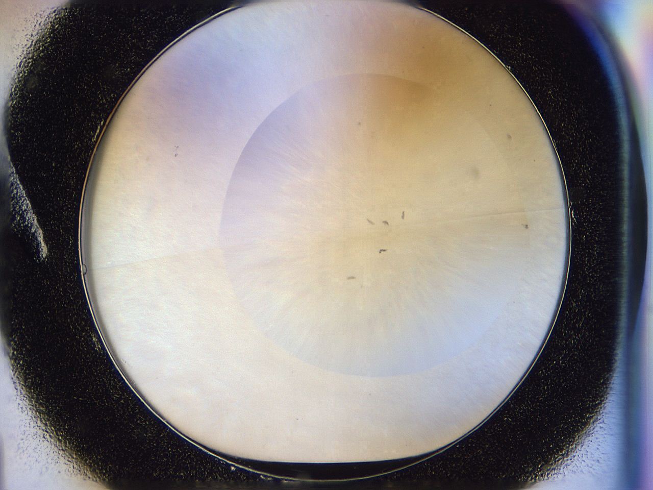 056p_A1_ImagerDefaults_1.jpg