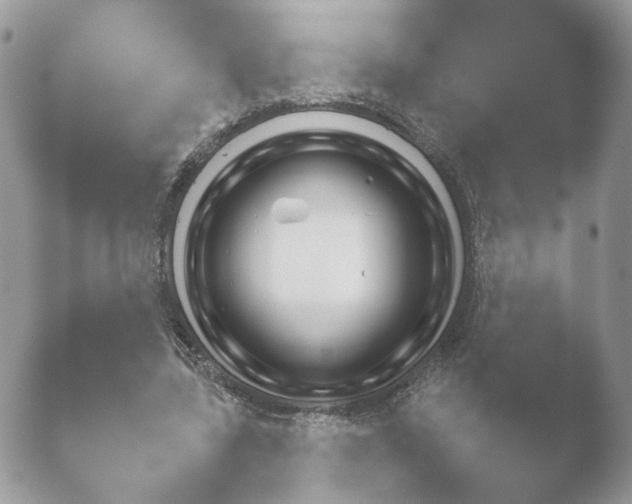 X0000052120539200507262054.png