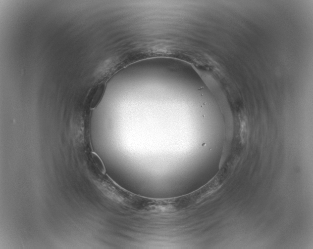 X0000054330552200508111922.png