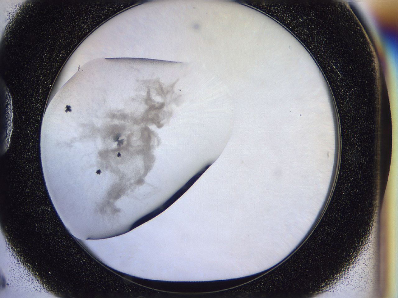 056p_D6_ImagerDefaults_6.jpg