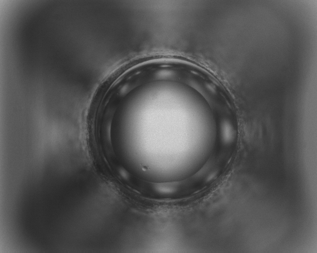 X0000044400248200412290438.png