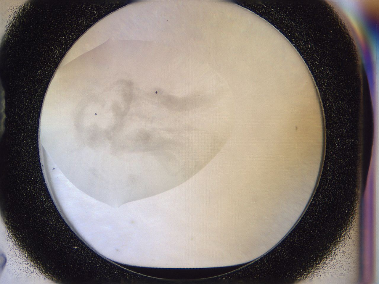 056p_D7_ImagerDefaults_2.jpg