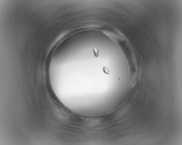 X0000054330435200508111923.png