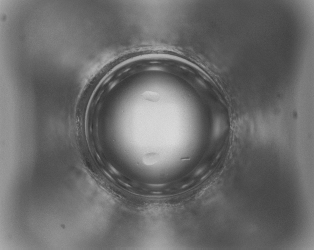 X0000052120248200507262058.png