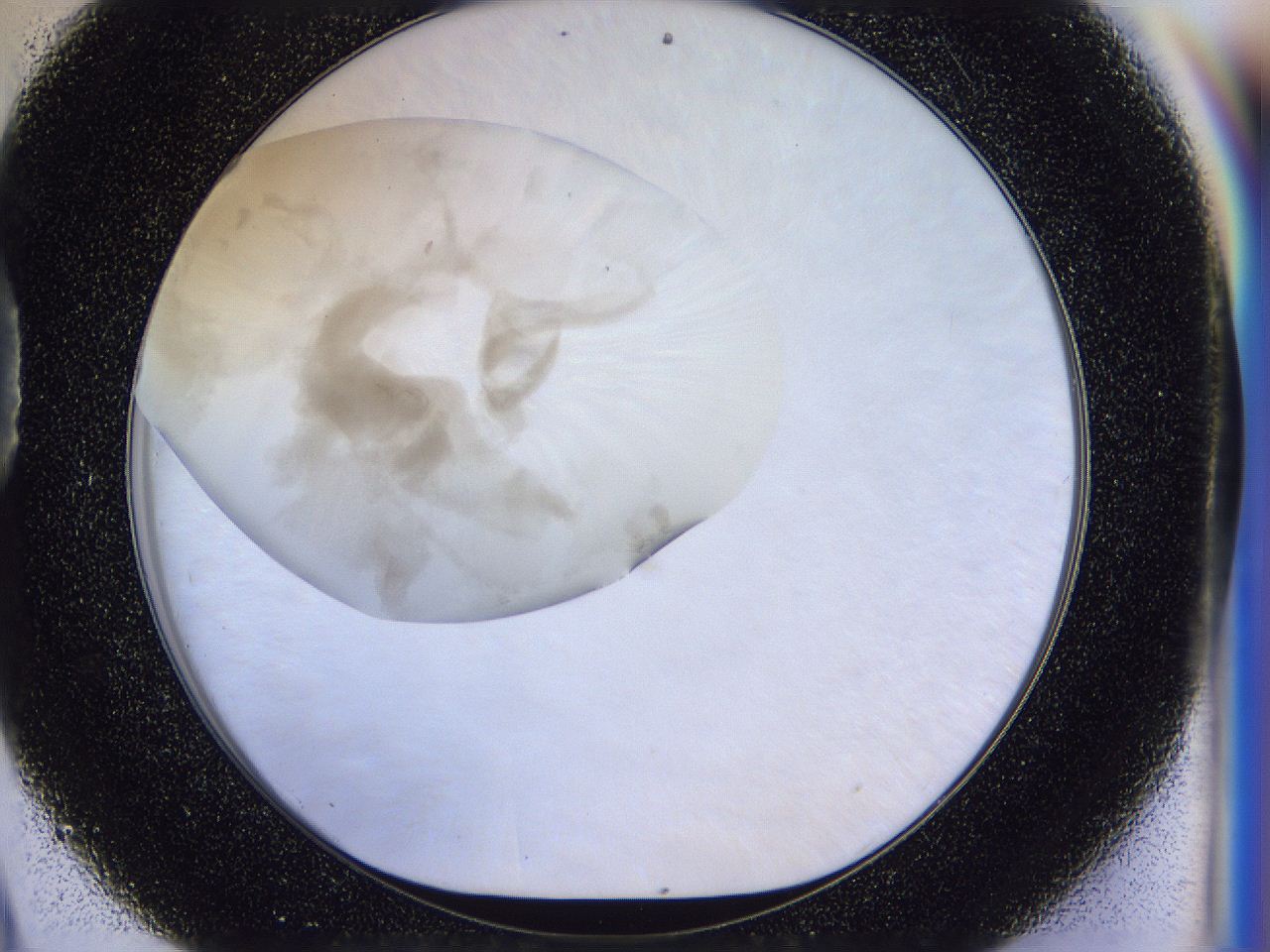 056p_D9_ImagerDefaults_2.jpg