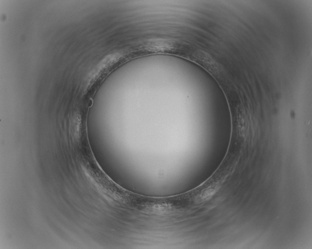 X0000054650304200508091648.png
