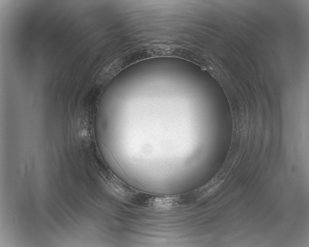 X0000055060134200508161655.png