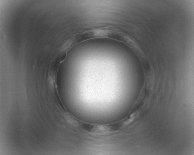 X0000054330329200508111925.png