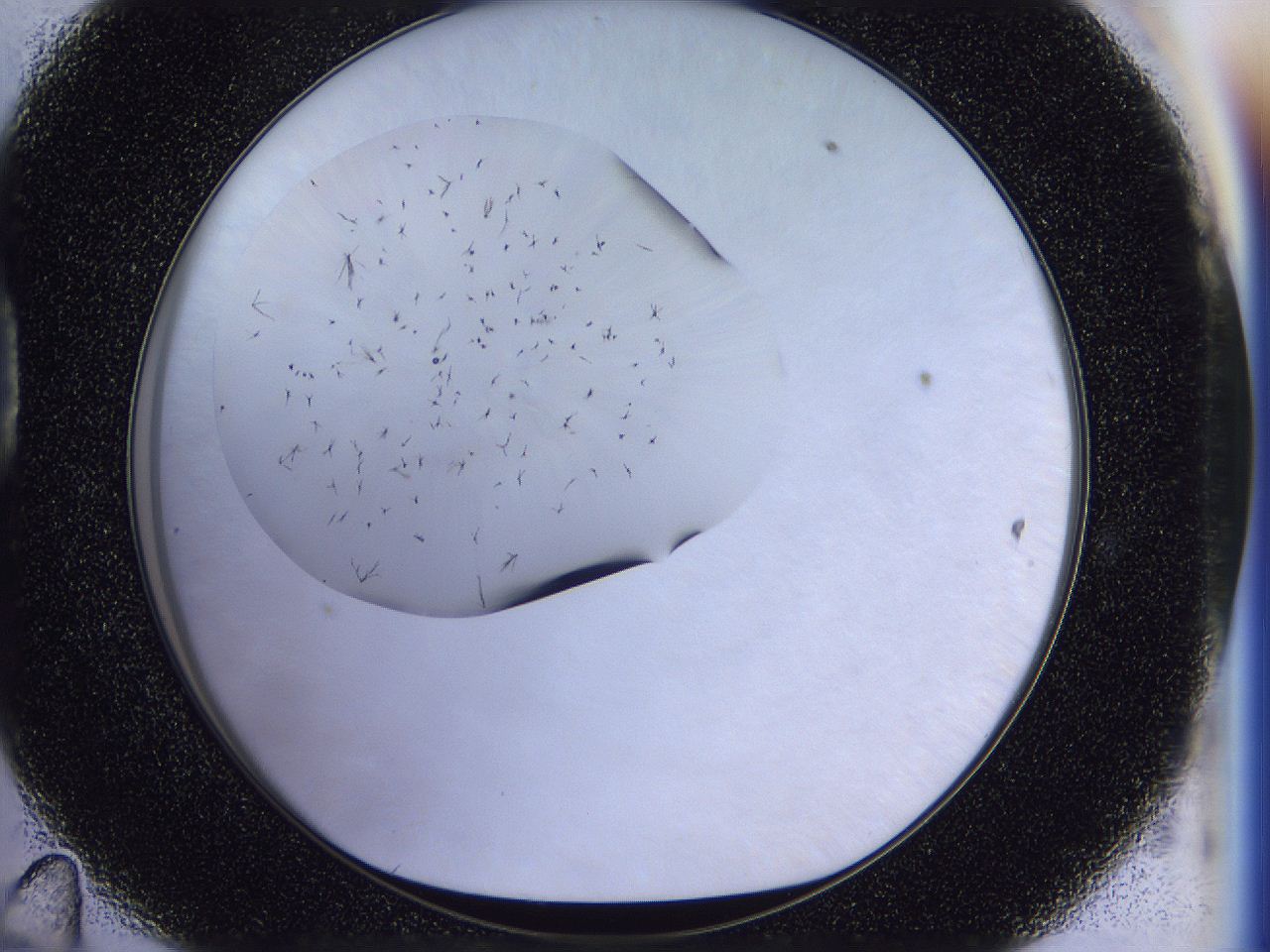 056p_D11_ImagerDefaults_6.jpg