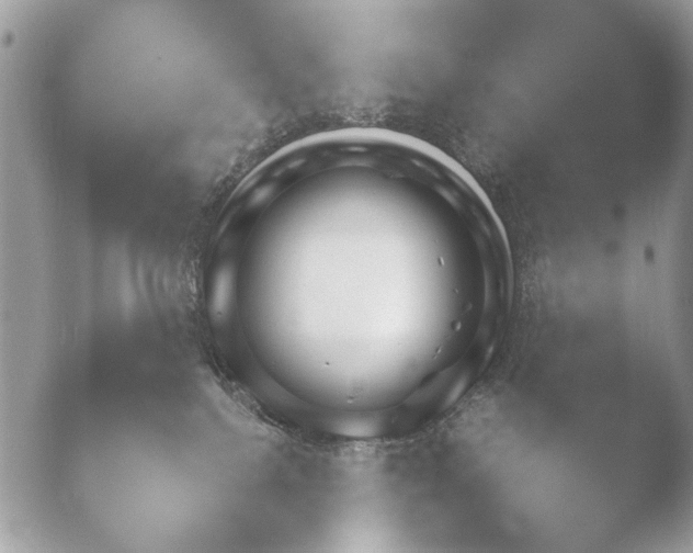 X0000052890088200507272240.png