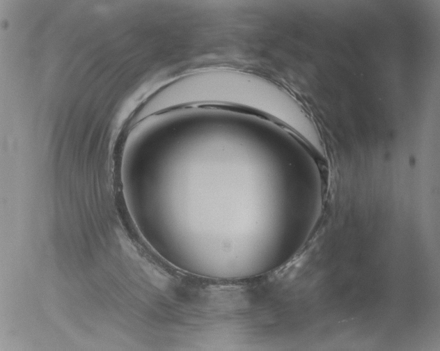 X0000054650150200508091650.png