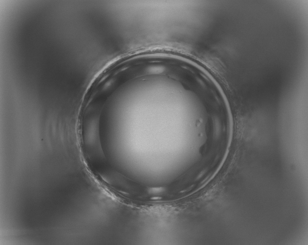 X0000052150806200507051950.png