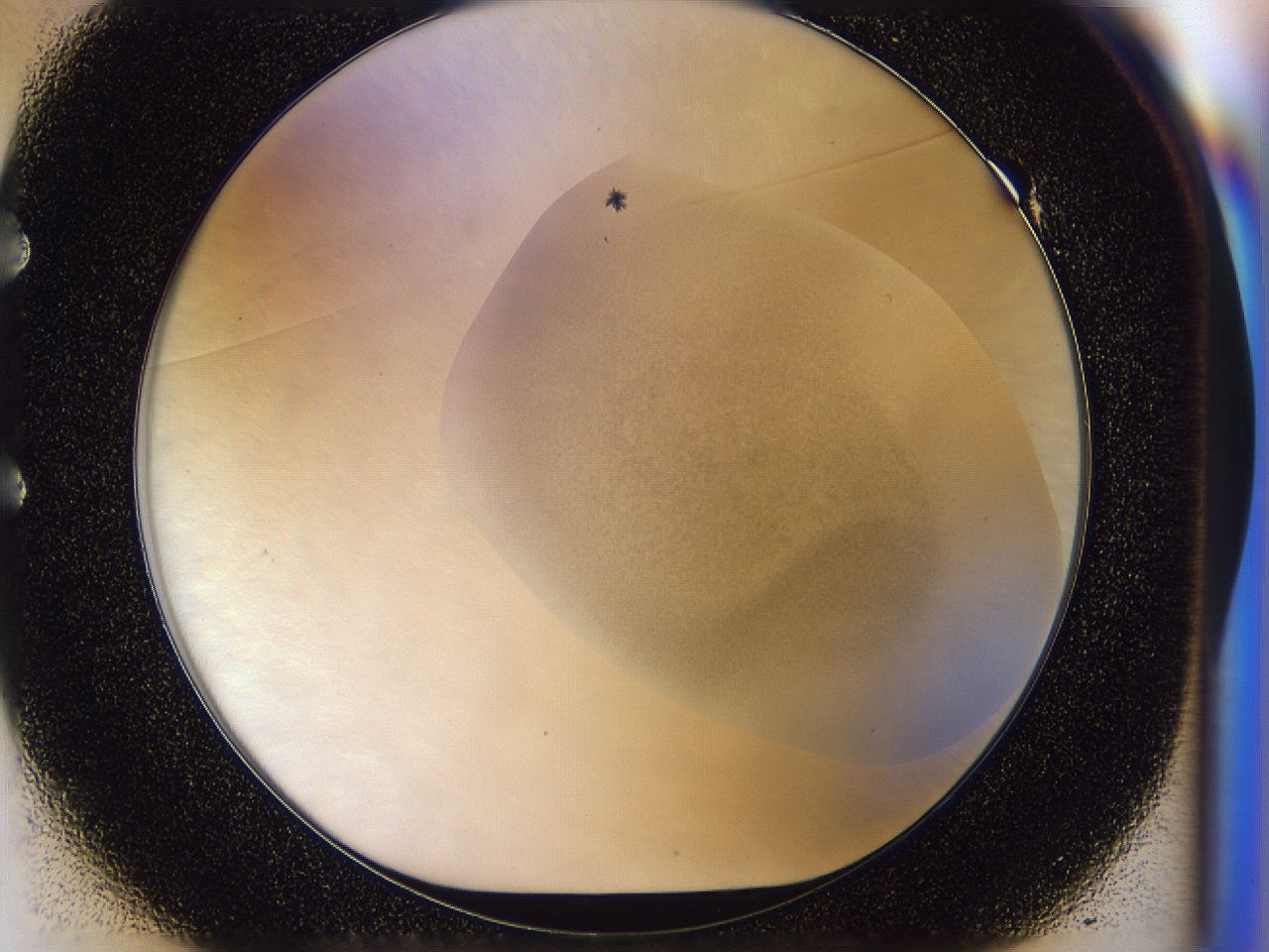 056p_E1_ImagerDefaults_6.jpg