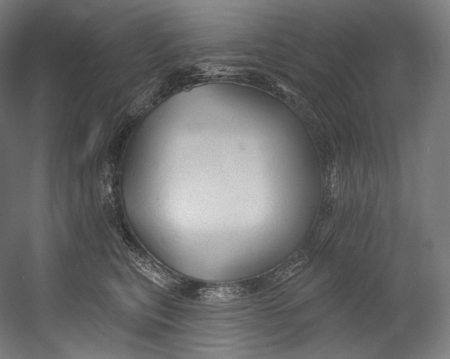 X0000055210567200508301325.png