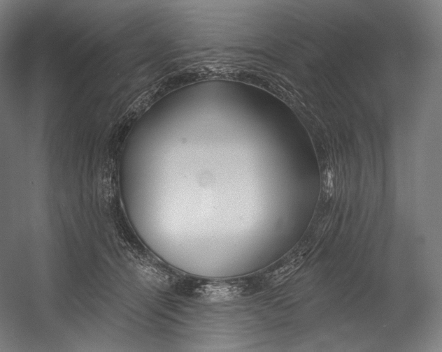 X0000055210464200508301326.png