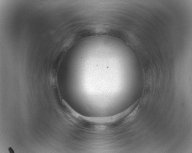 X0000054330176200508111928.png