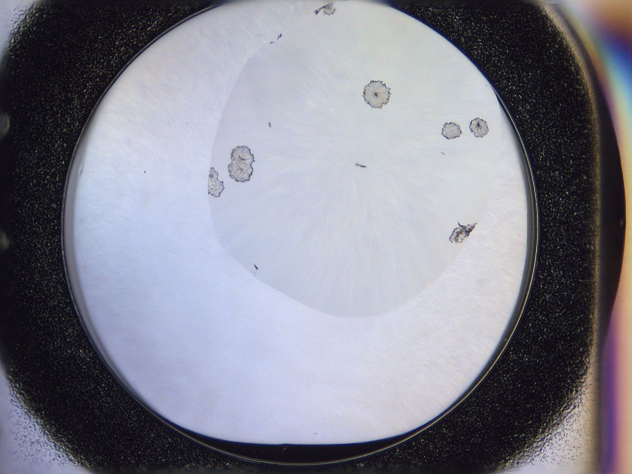 056p_E5_ImagerDefaults_7.jpg